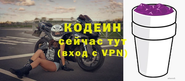 хмурый Щигры