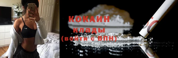 стафф Дмитриев