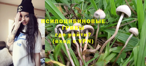 стафф Дмитриев