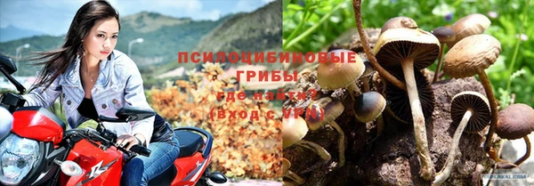 стафф Дмитриев
