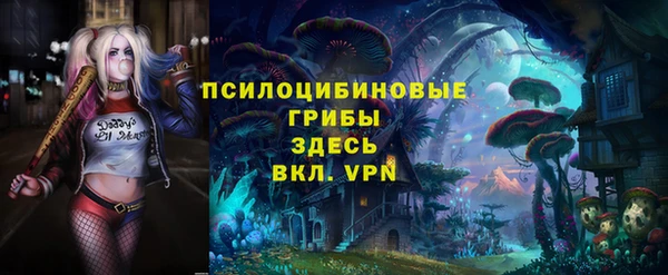 стафф Дмитриев