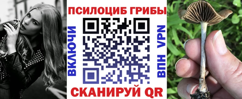 Псилоцибиновые грибы мухоморы  где продают   Острогожск 