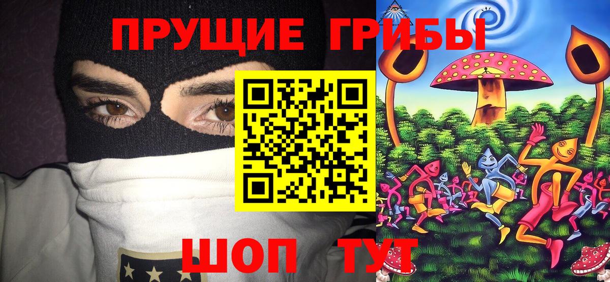 Псилоцибиновые грибы мицелий Острогожск