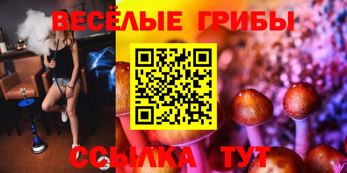 Острогожск  Псилоцибиновые грибы мухоморы  Вход с VPN 