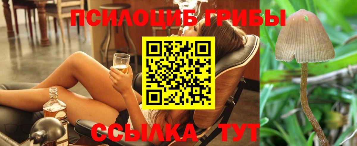 Псилоцибиновые грибы Cubensis Острогожск